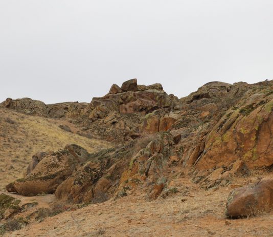 Қызылтастың бірегей петроглифтері мемлекет қорғауына алынды