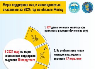 Меры поддержки лиц с инвалидностью, оказанные в 2024 году по области Жетісу