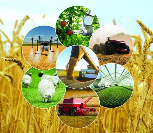 Қала бойынша ауыл шаруашылығы техникасын жаңарту үлесі 6%-ды құрады.