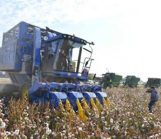 Қазақстанда 25 мыңнан астам агроқұрылым мақта шаруашылығымен айналысады