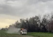 Жетісу облысының егіс алқаптарында зиянкестерге қарсы өңдеу жұмыстары жүргізілуде