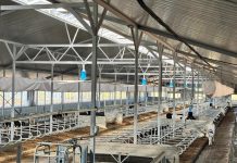 ҚР АШМ Ақмола облысындағы сүт-тауарлы фермаларына баспасөз турын ұйымдастырды