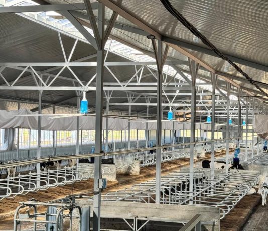 ҚР АШМ Ақмола облысындағы сүт-тауарлы фермаларына баспасөз турын ұйымдастырды