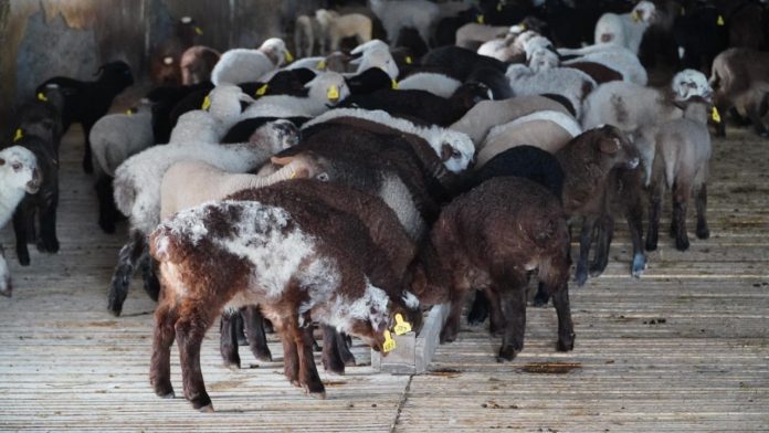 b01a019b95e9fd4ee388e7794d0725e4_1280x720