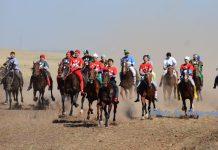 «Құрбан айт» мерекесіне арналған бәйге жарысы өтеді