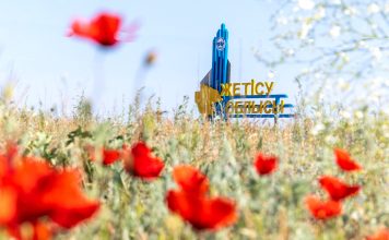 За 6 месяцев экономика области Жетісу выросла на 3,7%