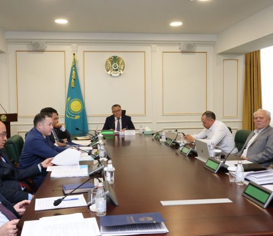 Жетісу облысында Алакөлде жүзу құралдарының бақылаусыз қозғалысының мәселесі шешілді