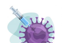 Иммундаудың маңыздылығы