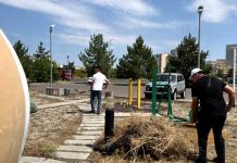 Талдықорғандық жастар «Taza El — Taza Bolashaq» атты экологиялық сенбілік өткізді