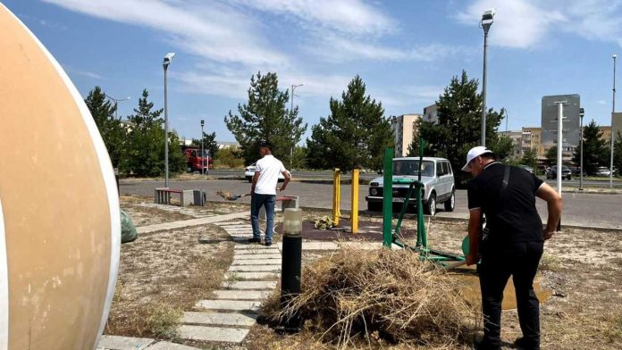 189446d88da9a5af368e7e025f393b6d_original.164977