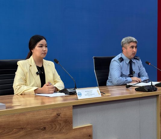 Жетісу облысында 265 интернет-алаяқтық фактісі тіркелді