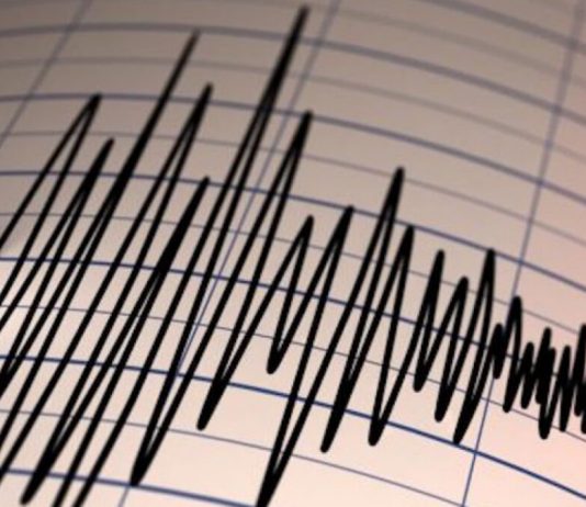 Еліміздің оңтүстігінде 6 балдық жер сілкінісі болды