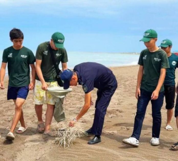 5215546948843598238-1-1-1