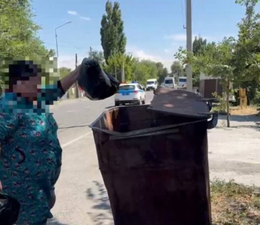 Аумақтық профилактика: Талдықорғанда полицейлер аулаларды аралады