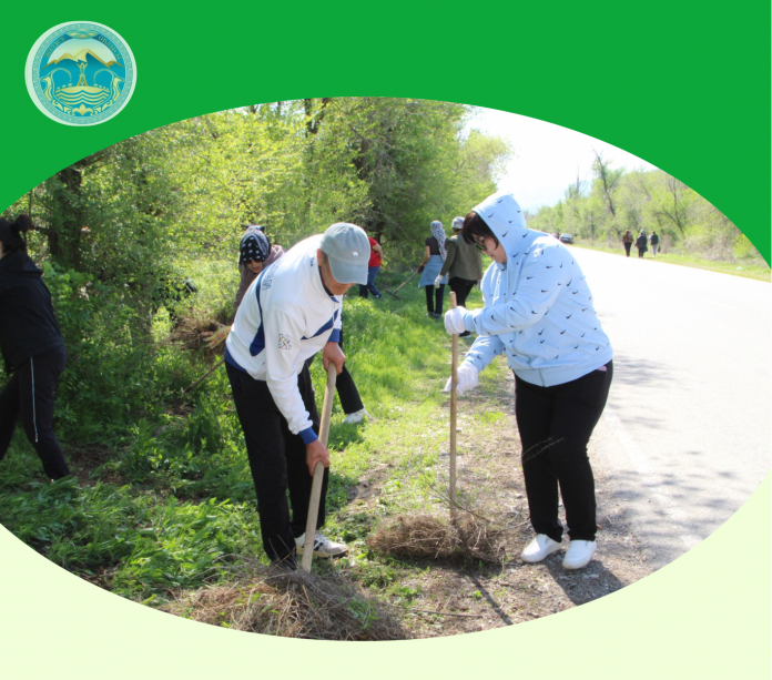 00e8553c6f267eeb5ee2293c58570313_original.2731855