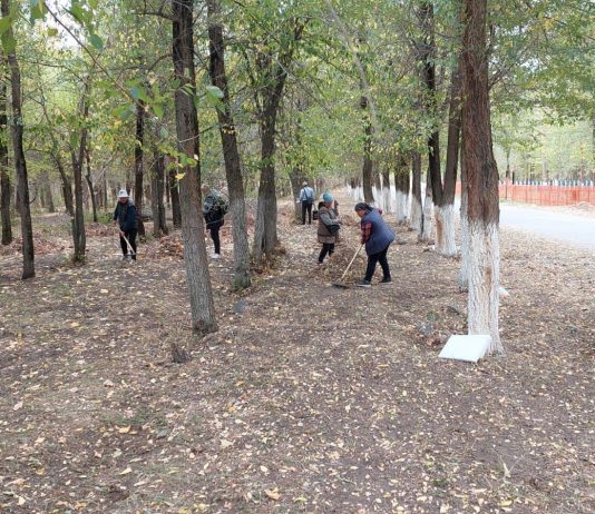 «Таза бейсенбі»: Жетісуда 500 тонна қоқыс шығарылып, 300 көшет отырғызылды