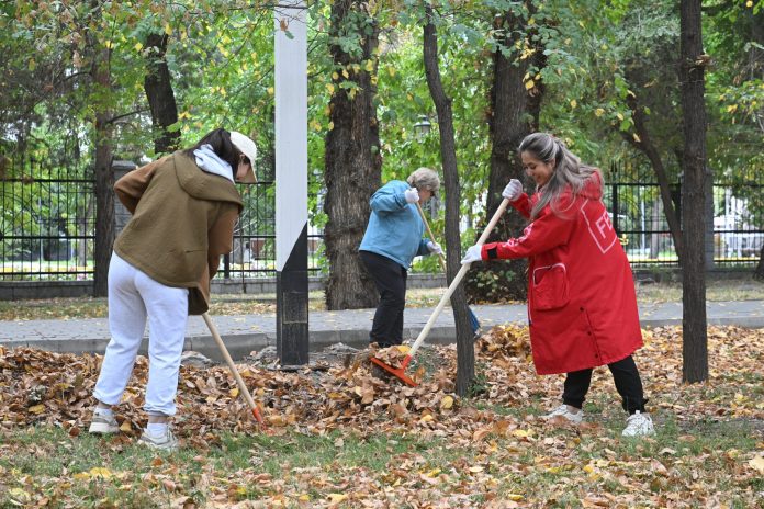 bca75645a70592d70d11d66fc71a1304_original.10868207