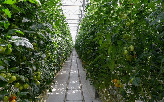 e25b589c19998fcdf46632ef225f4c95_original.2435057