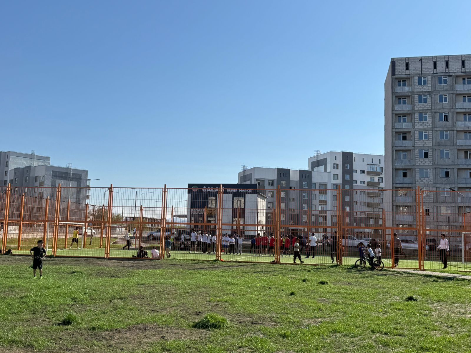 Желідегі транни порно видео