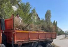 Шекарашылар «Таза қала» акциясына қатысты