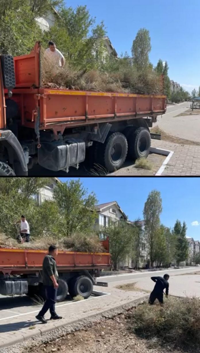 Изображение WhatsApp 2025-09-23 в 09.54.22_fb24d80f