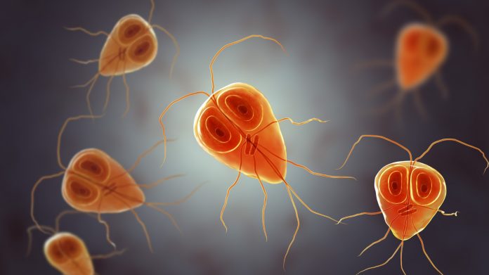 Изображение WhatsApp 2025-09-29 в 10.22.40_e4065c88