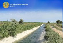 Жетісу облысында 25 мың гектар егістік алқапты сумен қамтамасыз ету үшін каналдарды реконструкциялау жұмыстары жүргізіліп жатыр