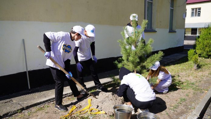 d7336633ec363e646d1d8abe009dd380_original.2079157