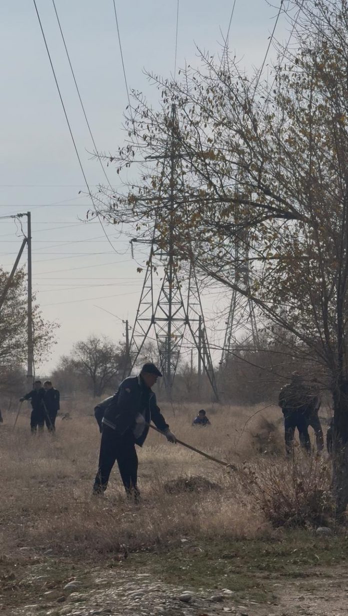 Изображение WhatsApp 2025-10-24 в 16.43.47_22c49be5