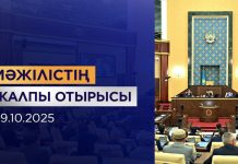 Мәжіліс тарихи-мәдени мұра нысандарын қорғау туралы заң жобасын бірінші оқылымда мақұлдады