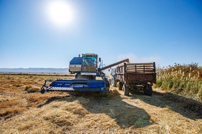 3535e9998712b93f129bf7e9139391c1_original.3230844