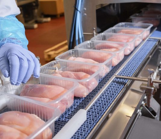 Жетісу облысында құс етін өндіретін жаңа кәсіпорын ашылады