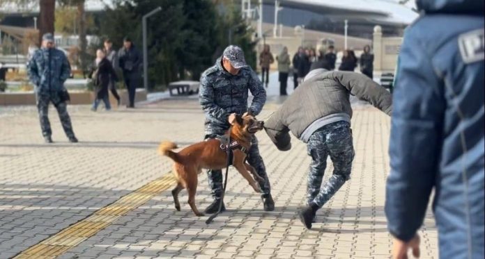 a187f5b53e7bec1fc55fe9b7209c0e7e_original.113817