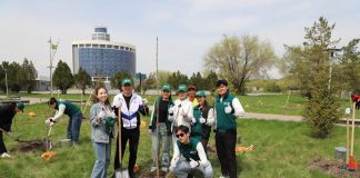 «Таза Қазақстан»: Жетісуда соңғы екі жылда 29 саябақ салынып, жаңғыртылды және 250 мыңдай ағаш отырғызылды