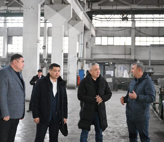 МӘЖІЛІС ДЕПУТАТТАРЫ ЖЕТІСУДАҒЫ ІРІ ӨНДІРІС ОРЫНДАРЫНЫҢ ЖҰМЫСЫМЕН ТАНЫСТЫ