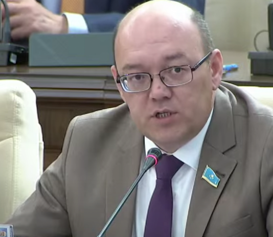 ЖСДП төрағасы: Конституциялық реформа – бұл қоғамның нақты сұраныстарына жауап