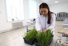 Жетісу колледждері еңбек нарығының сұранысына бейімделуде