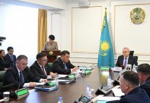 Жетісу облысының активі жаңа Конституция жобасын қолдады