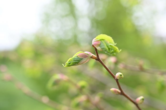 a796d1da6c9f503b207ce5cee013bec4_original.4212567