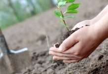 «ECOSANA» ұран емес, ұстаным