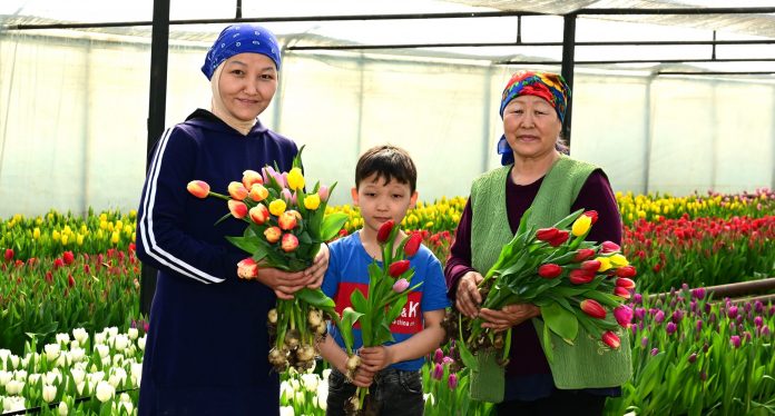 e5de00e242ec7baed78aa724b16544fe_original.838385