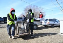 Жетісуда қараусыз жүрген жануарлар мәселесі қалай шешілуде