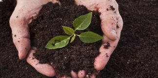 Фитосанитариялық есептілік туралы ескерту