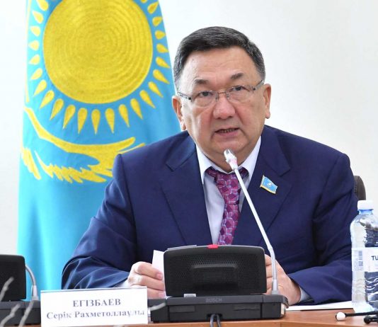 Чем новая формулировка статьи 13 о запрете двойного и множественного гражданства отличается от прежнего регулирования?
