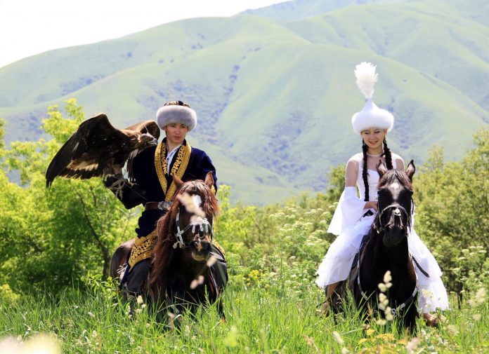 3147e6c9b30a211c321fdd40f5848952_original.1207238