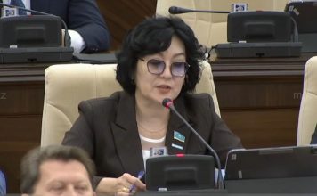 Заявление депутата Айны Мусралимовой о необходимости мирного урегулирования ближневосточного конфликта в связи с гибелью школьниц в городе Минаб