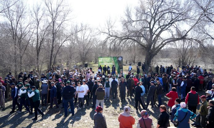 a64c39ba9c035c838a78997a43f2a34c_original.8227131