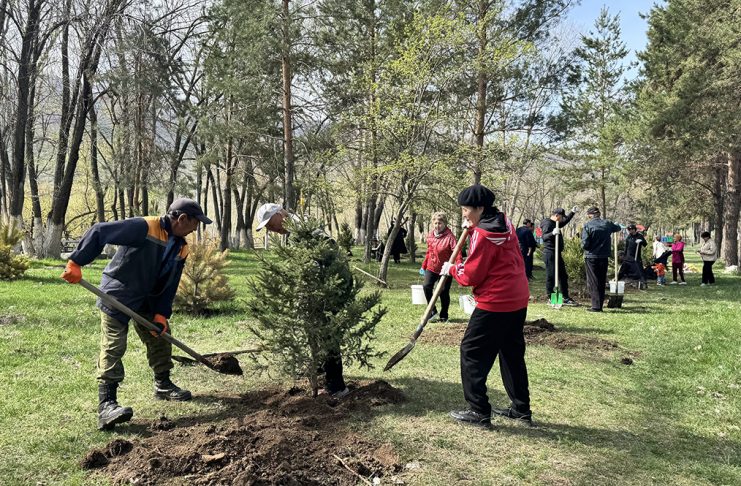 Текелідегі тазалық таңы: Қора өзенінің жағалауына 250 түп ағаш егілді