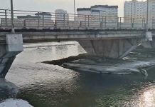 Қаратал өзенінің жағалауынан 60 тонна қоқыс шығарылды