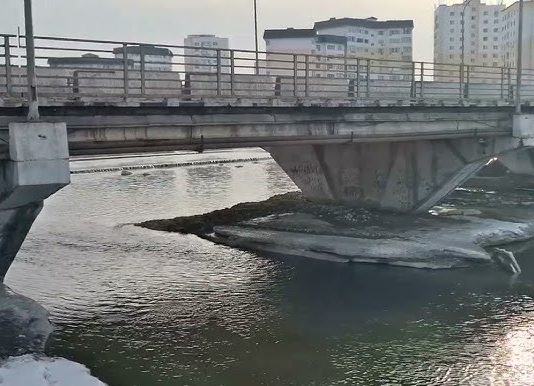 Қаратал өзенінің жағалауынан 60 тонна қоқыс шығарылды